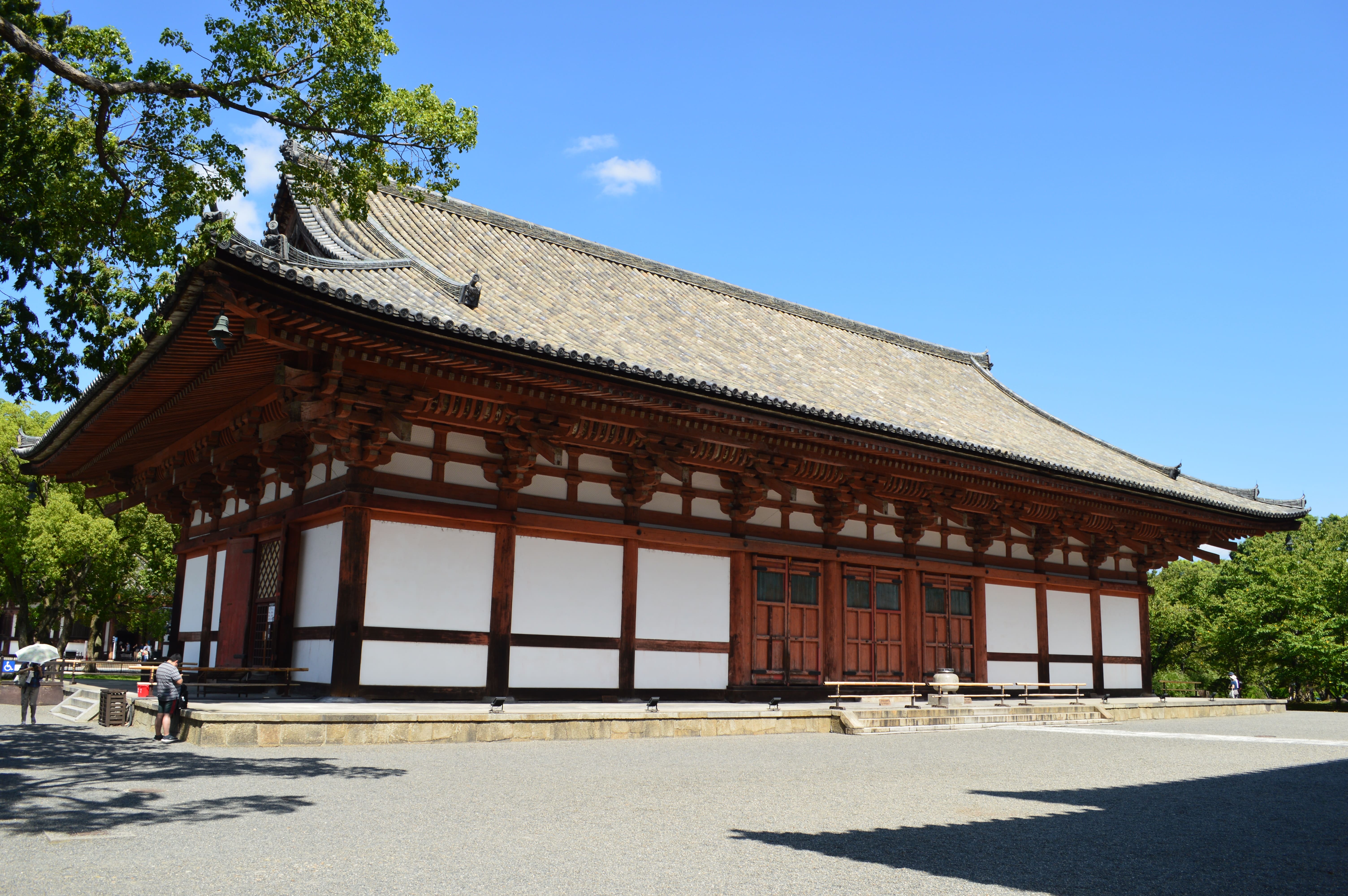 kodo image